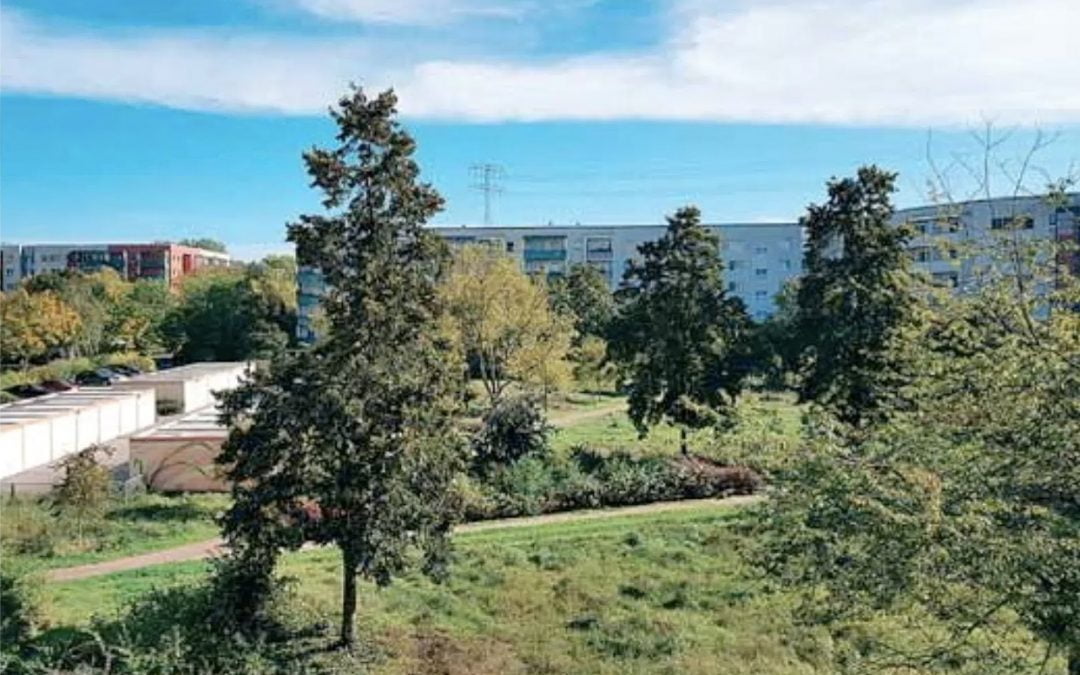 Der Widerstand wächst