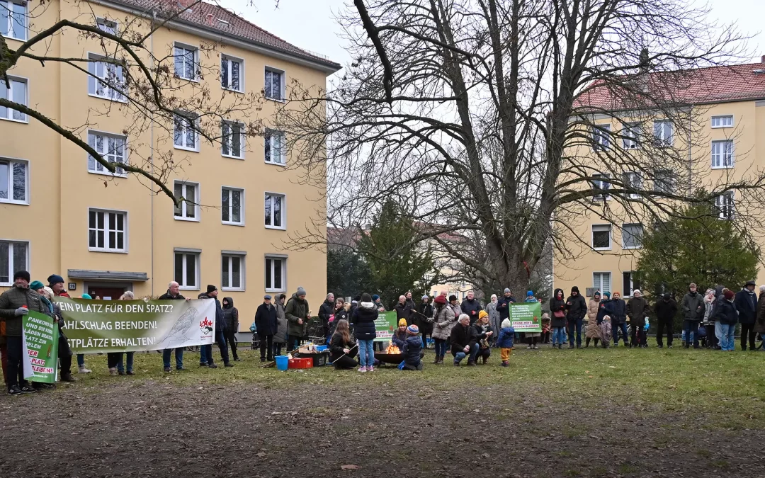 Protest gegen Grünbebauung in Berlin-Pankow