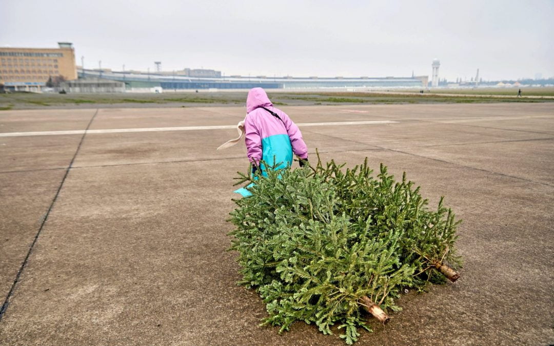 Protest gegen Bebauung des Tempelhofer Feldes: Oh, Tannen-Raum