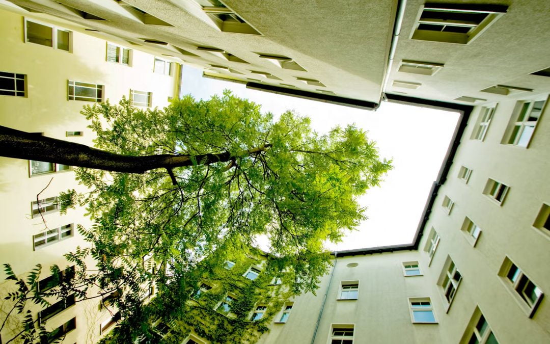 „Schluss mit dem Abholzen grüner Innenhöfe!“