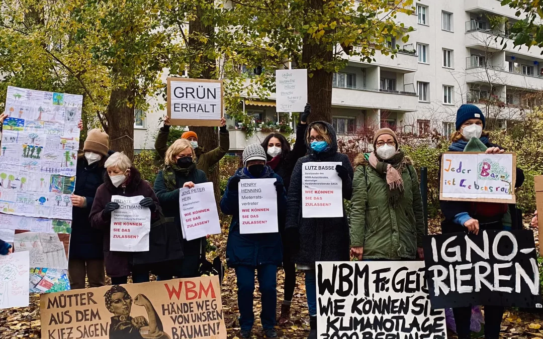 Baumpflegefirma sagt Baumfällungen ab!