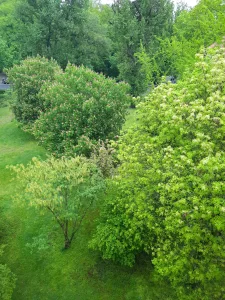 Bürgerinitiative Plänterwald 3 20210513 182917 6d53a7460a0dd73245339da6b10c3da3