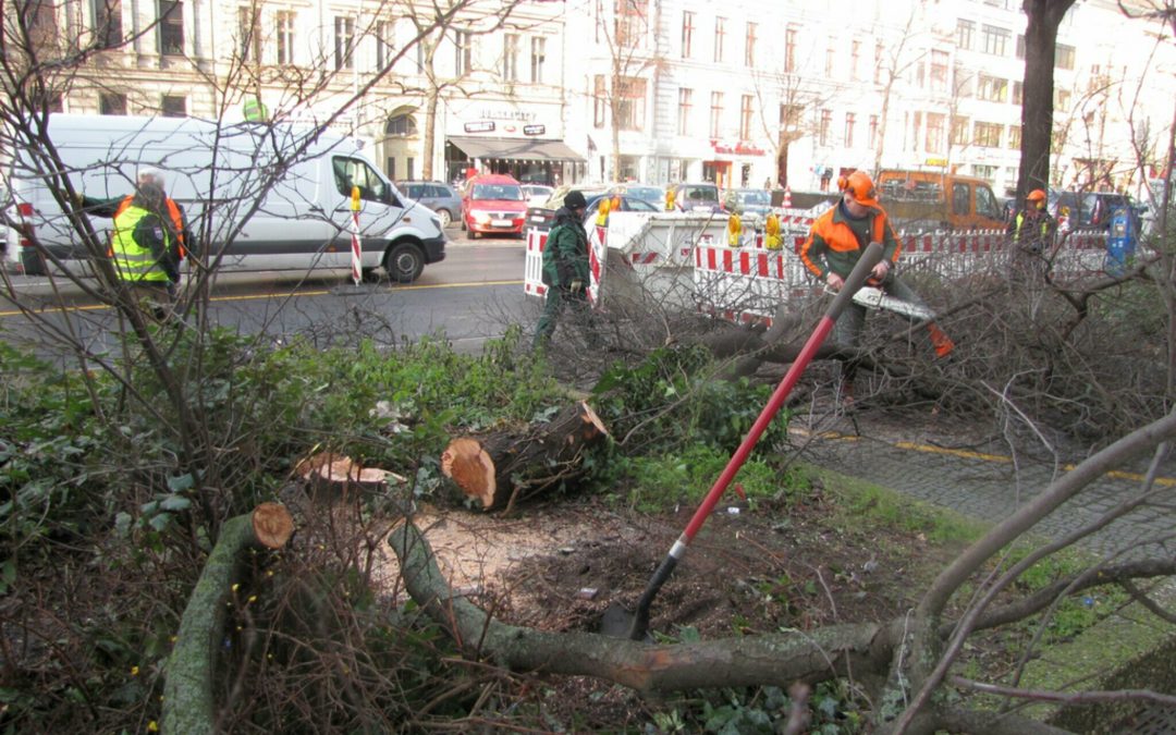 Naturschützer schreiben Brandbrief ans Bezirksamt