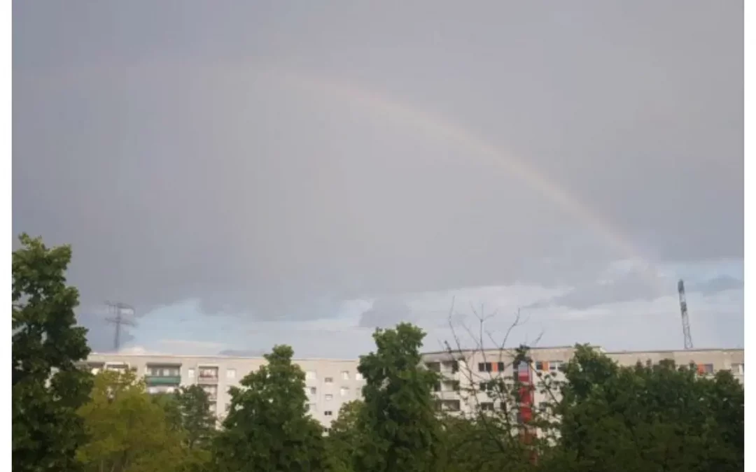 Bauvorhaben im Bezirk: “Schluss mit der Zerstörung der Höfe”