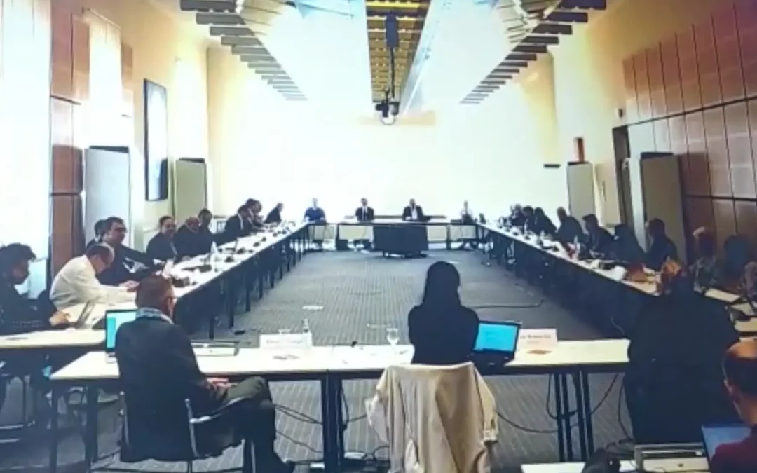 Unser Bündnis zur Anhörung im Ausschuss für Stadtentwicklung, Bauen und Wohnen im AGH Berlin