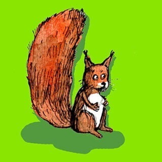 Spendenaufruf Grüner Kiez Pankow – Naturschutzverbände sammeln für Artenschutzklage