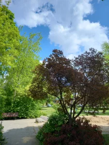 Bürgerinitiative Plänterwald 2 IMG 20210525 WA0085 b77a421bb8d78ac1fe0c6809b687498e