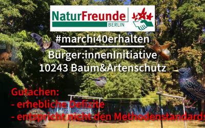 BI10243 Baum-&Artenschutz 10 Naturfreunde Berlin: Stellungnahme zur artenschutzrechtlichen Betreuung – Drei-Religionen-Kita-Haus