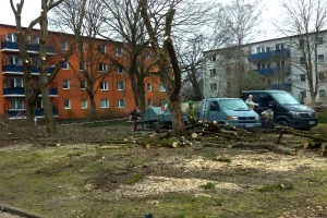 spindlersfeld 21.2.22 A Kopie