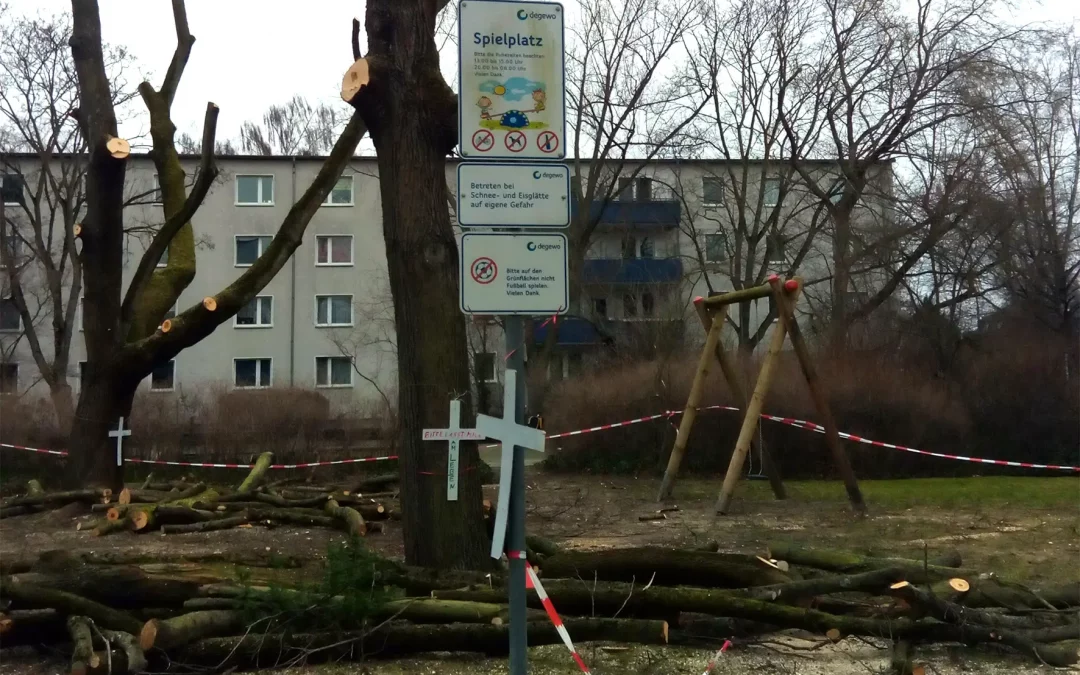 Unangekündigte Fällungen in Spindlersfeld