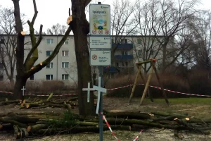spindlersfeld 21.2.22 C Kopie