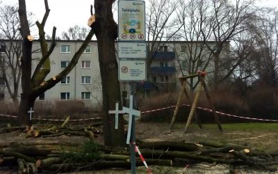 BBNS - Startseite - Neu 3 Unangekündigte Fällungen in Spindlersfeld