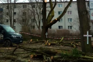 spindlersfeld 21.2.22 E Kopie