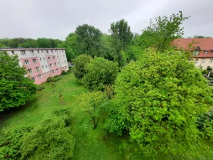 Bürgerinitiative Plänterwald 1 vorhersommer 5ce0a4c43fa240e5755b58c7b7489a6e