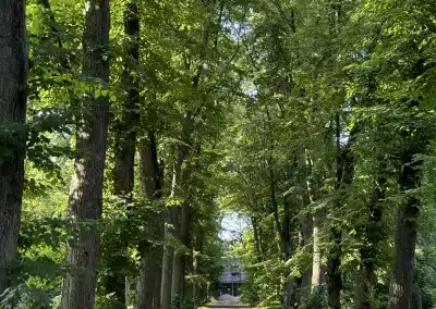 IMG 3257 dc28f1651d7872ff9f5dd6a61bf4a1a2