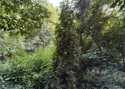 IMG 3272 da59ca96c32613d17300b1f3343639dd