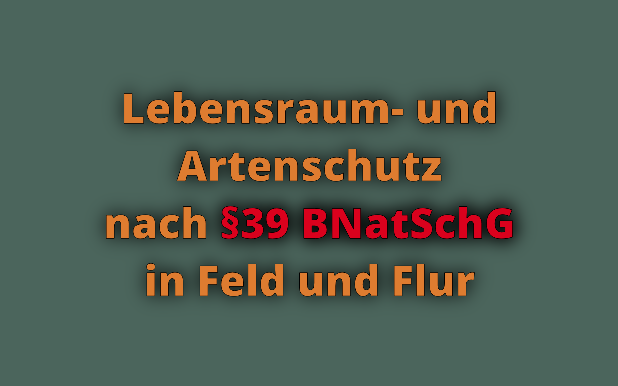 Lebensraum- und Artenschutz nach §39 BNatSchG in Feld und Flur