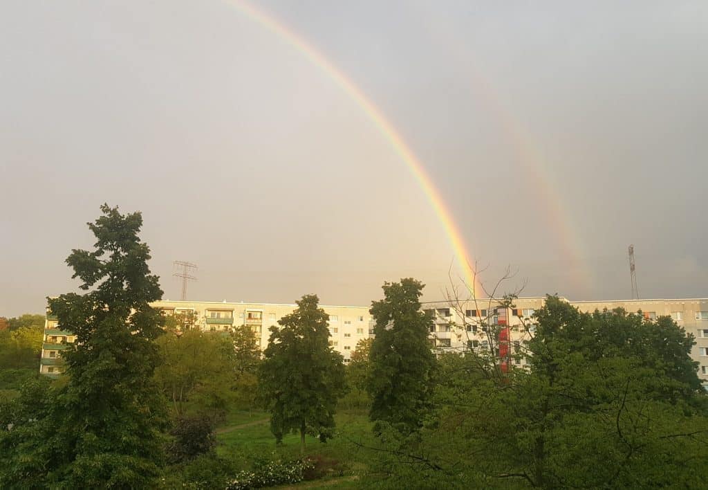 Das war der totale Vertrauensbruch 1 Der schöne Innenhof Lily-Braun-Straße in seinem letzten Sommer 2023