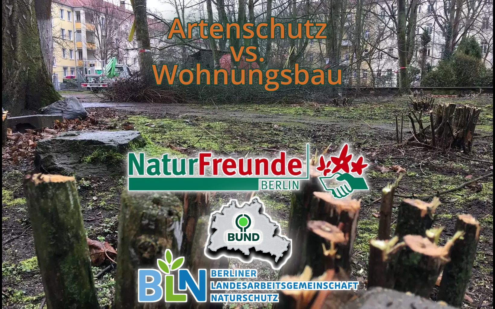 Umweltverbände und Bürgerinitiativen kritisieren scharf die geplante Erteilung einer artenschutzrechtlichen Ausnahme durch das Umwelt- und Naturschutzamt Pankow .