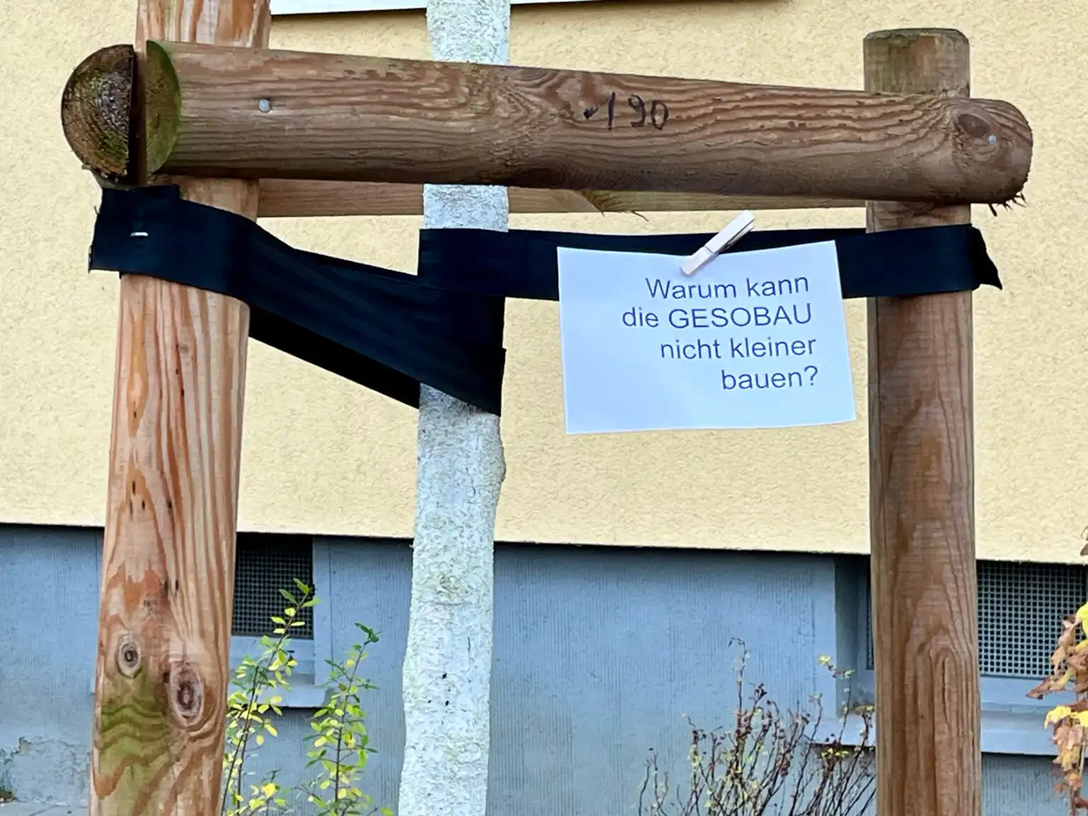 Gesobau scheitert erneut vor Gericht – Bäume in Pankow Gesobau scheitert erneut vor Gericht – Bäume in Pankow