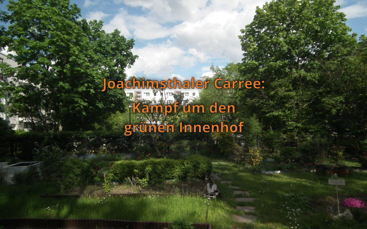 Joachimsthaler Carree grüner Innenhof mit Bäumen und Mietergärten Joachimsthaler Carree grüner Innenhof mit Bäumen und Mietergärten