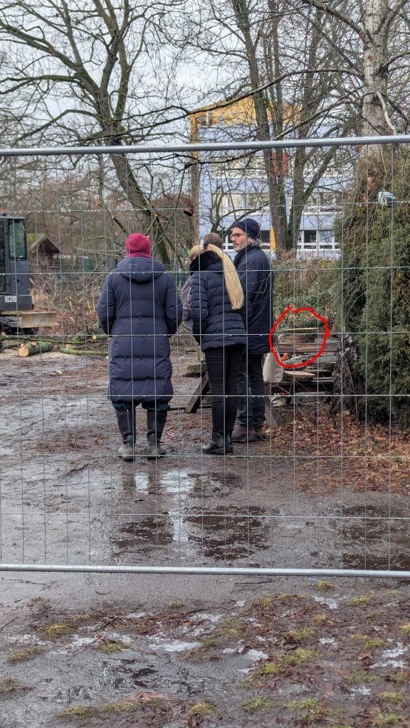 Baumfällungen Heinz-Brandt-Schule: Europarechtliche Messlatte verfehlt 1 Mitbringsel aus gefällten Bäumen – ein pietätsloses Signal