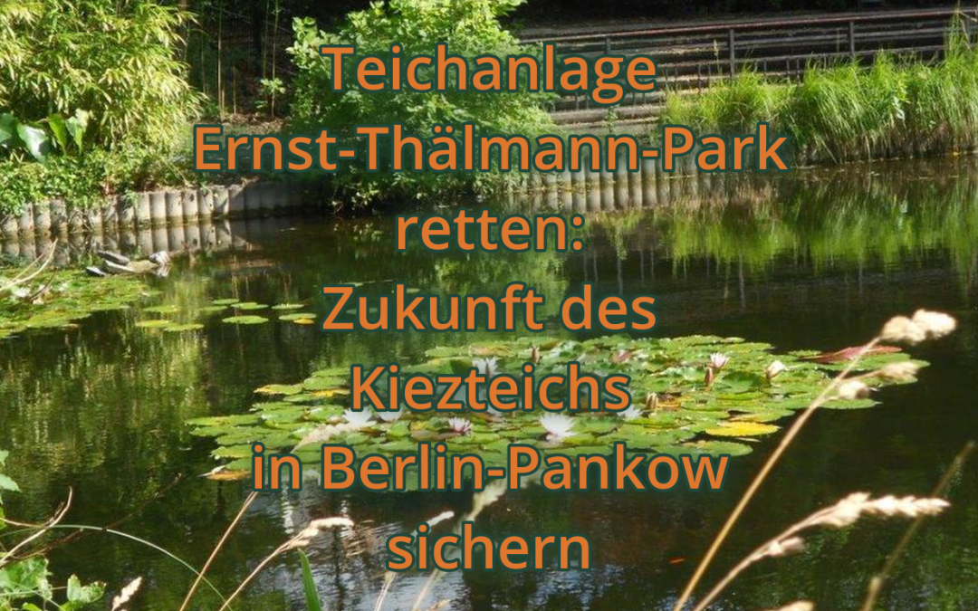 Teichanlage Ernst-Thälmann-Park retten: Zukunft des Kiezteichs in Berlin-Pankow sichern