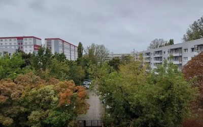 Mieterinitiative Joachimsthaler Carree 6 Baum-Massaker Lichtenberg: Howoge zerstört grüne Hof-Idylle im Joachimsthaler Carrée