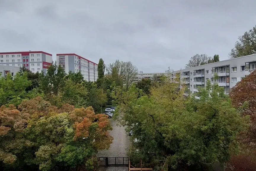 Baum-Massaker Lichtenberg: Howoge zerstört grüne Hof-Idylle im Joachimsthaler Carrée