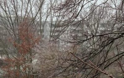 Mieterinitiative Joachimsthaler Carree 5 Eisregen stoppt Baum-Massaker Lichtenberg: Wie Wetter und Mieterinitiative der Howoge die Stirn bieten