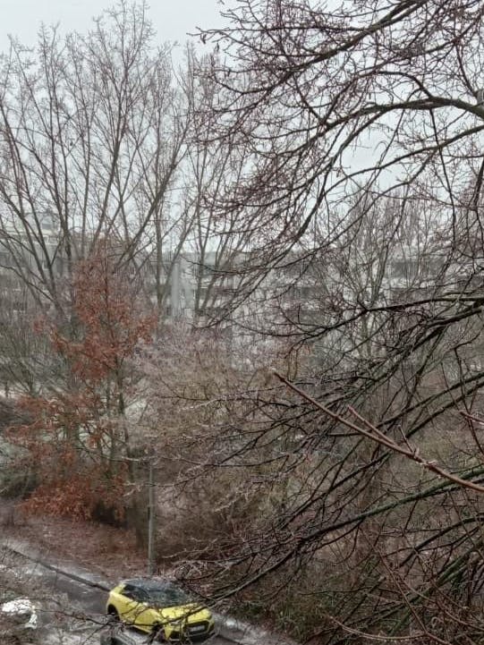 eisregen-stoppt-baum-massaker-lichtenberg Blick in den winterlichen Innenhof. Die Bäume sind noch da – dank des Eisregens!