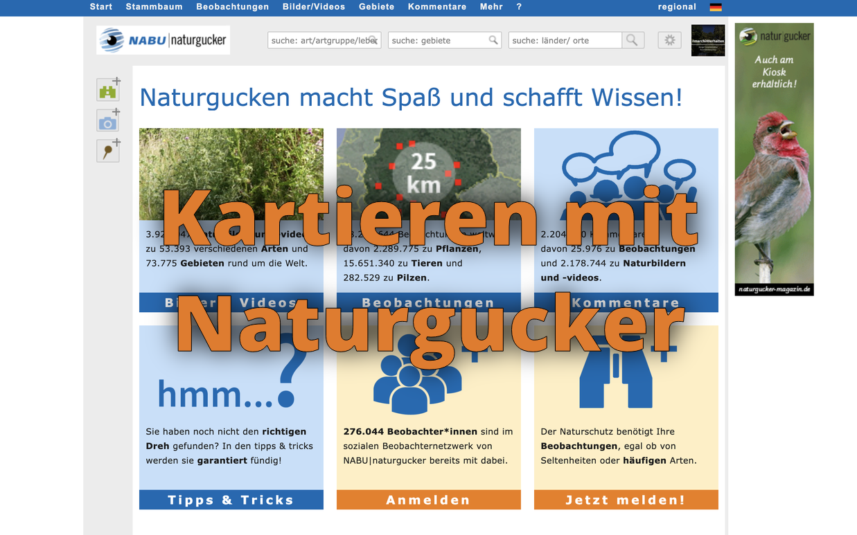 naturgucker.de – Screenshot der Startseite mit Benutzeroberfläche für Naturbeobachtungen