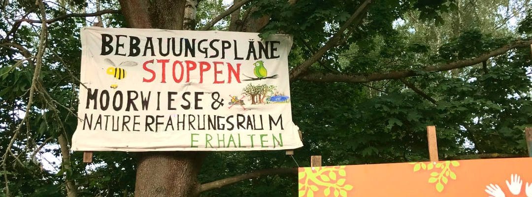 Moore retten: Warum sie für Klima und Natur in Berlin-Buch unersetzlich sind