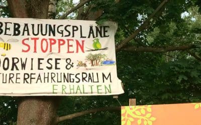 Moore retten: Warum sie für Klima und Natur in Berlin-Buch unersetzlich sind